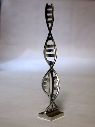 DNAの二重らせん構造